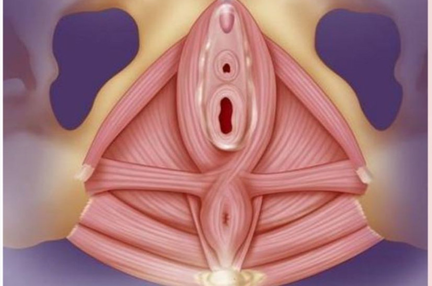 阴道松弛对性生活的影响，如何预防和治疗？的图片 第1张