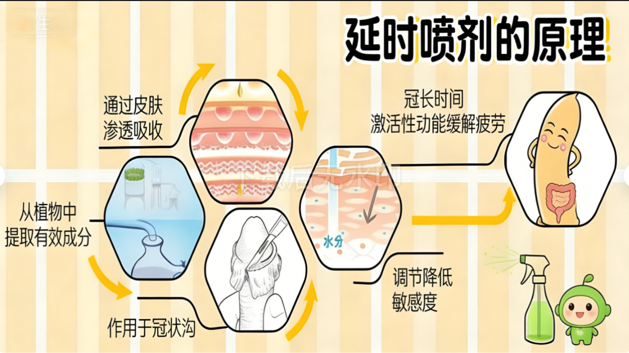 延时喷剂到底有没有用?真实效果、原理、能延多久一次讲清的图片 第2张 延时喷剂到底有没有用?真实效果、原理、能延多久一次讲清
